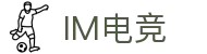 IM(股份有限公司)电竞-电子竞技平台